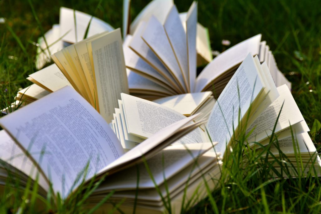 a collection of open books laid out on grass in sunshine