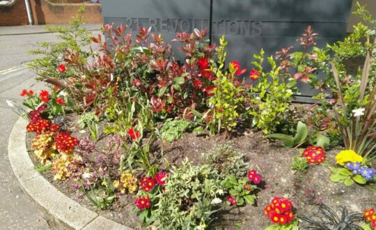 The garden at Glasgow Women's Library showing bright flowerbeds with the library building behind.