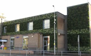 An external green wall made of plants at Llanelli Library in Carmarthenshire, Wales.