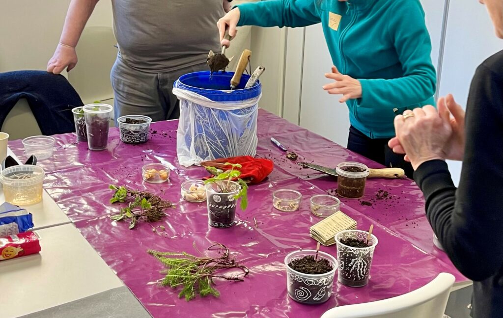 'Green Pages' workshop attendees planting seeds in Renfrewshire Libraries.